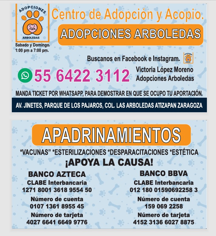 Ejemplo de tarjetas de presentación económica